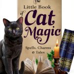 Llewellyn Publications Kindle eBook on Cat Care-0